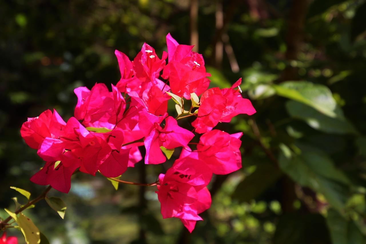 2. 添加白色调整