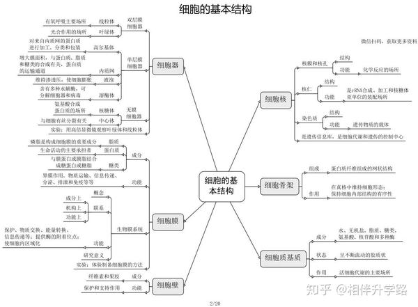 高中生物必修選修思維導圖最全歸納從此高中生物無憂