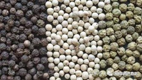 重磅 胡椒价格快速上涨 主要是资本的力量 知乎