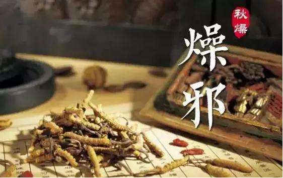 中医里的“燥”指什么?燥邪致病有什么特点? - 知乎