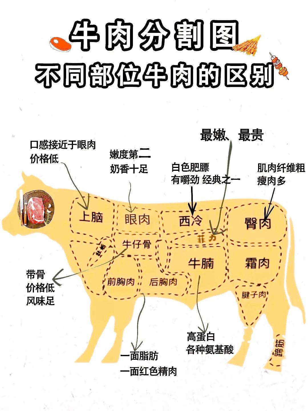 香菜牛肉的做法_香菜牛肉怎么做_香菜牛肉的家常做法_coco2dong【心食谱】