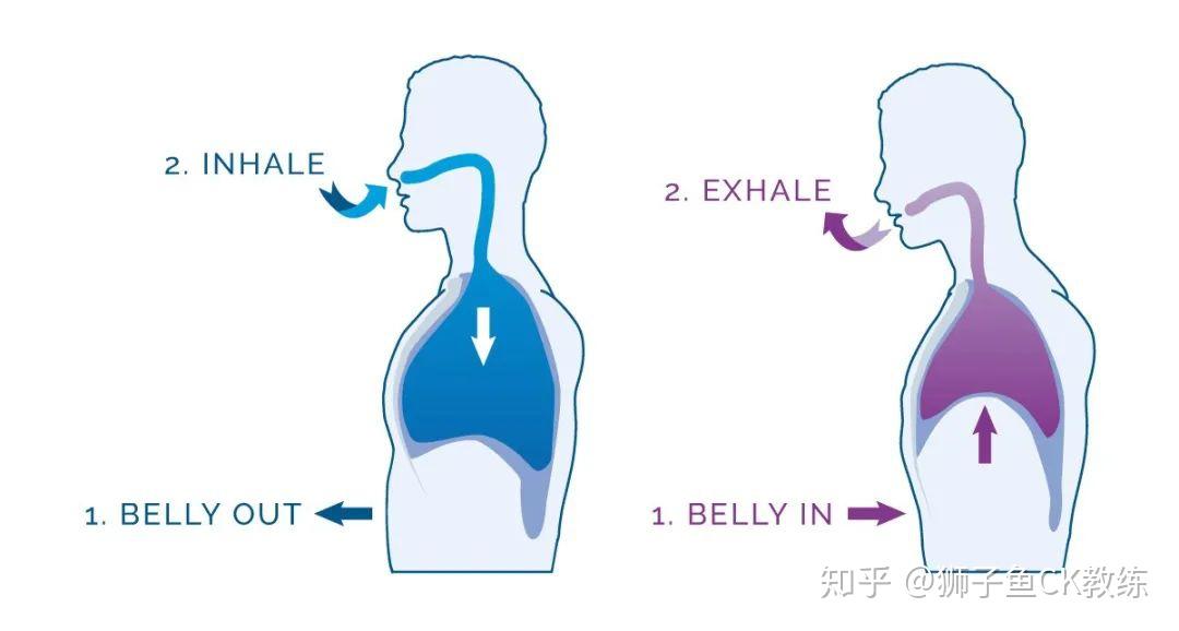 部在起伏，胸部没有起伏的呼吸方式。人一般在睡眠中的呼吸就是腹式呼吸
