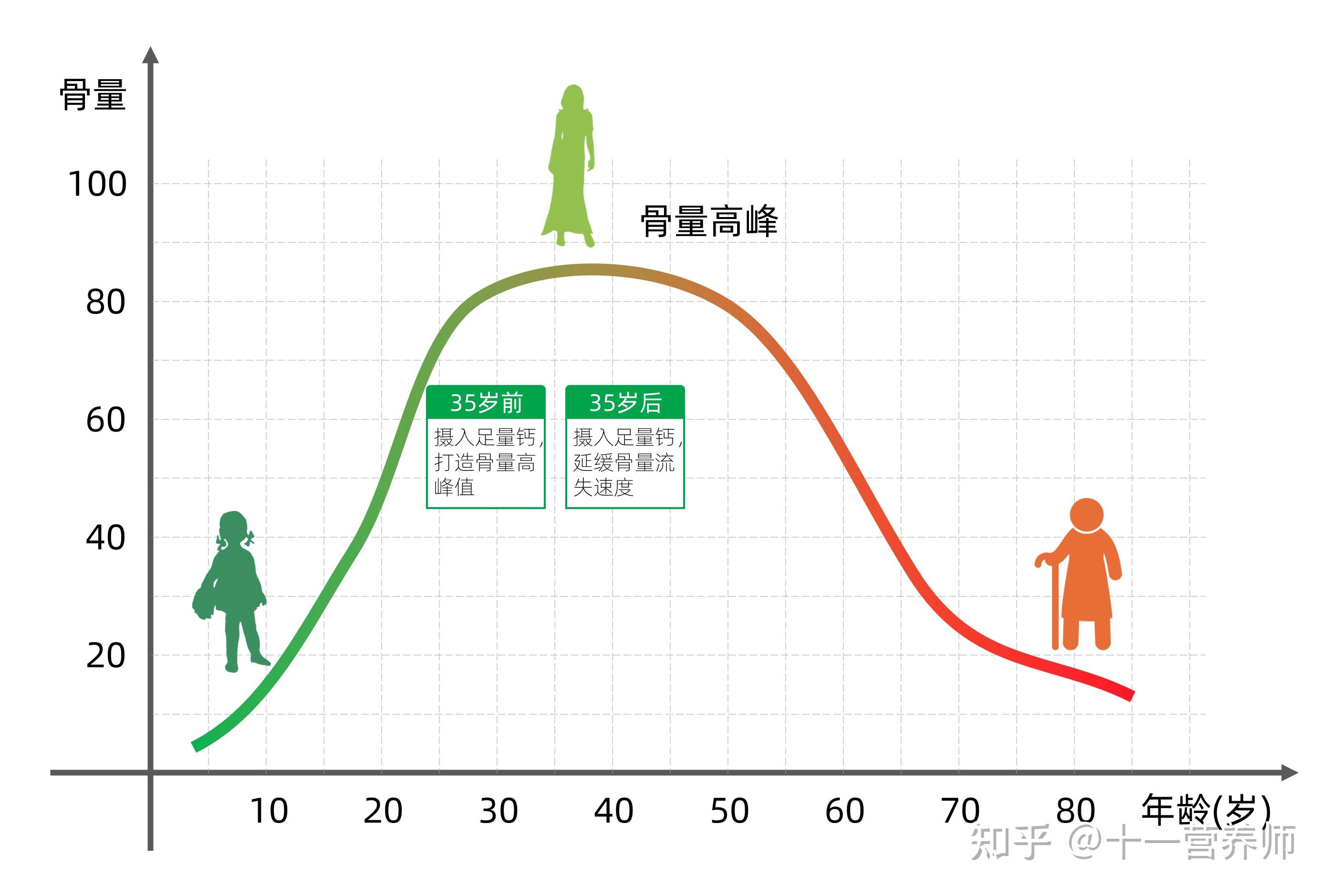 骨密度曲线图图片图片