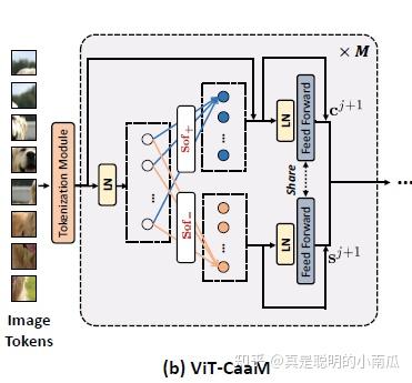 文献笔记 | 【ICCV 2021】Causal Attention for Unbiased Visual Recognition - 知乎