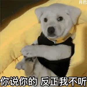郭碧婷身材圆润疑似有孕，向佐贴心似热恋情侣！同是豪门婚姻奚梦瑶却被骂惨！