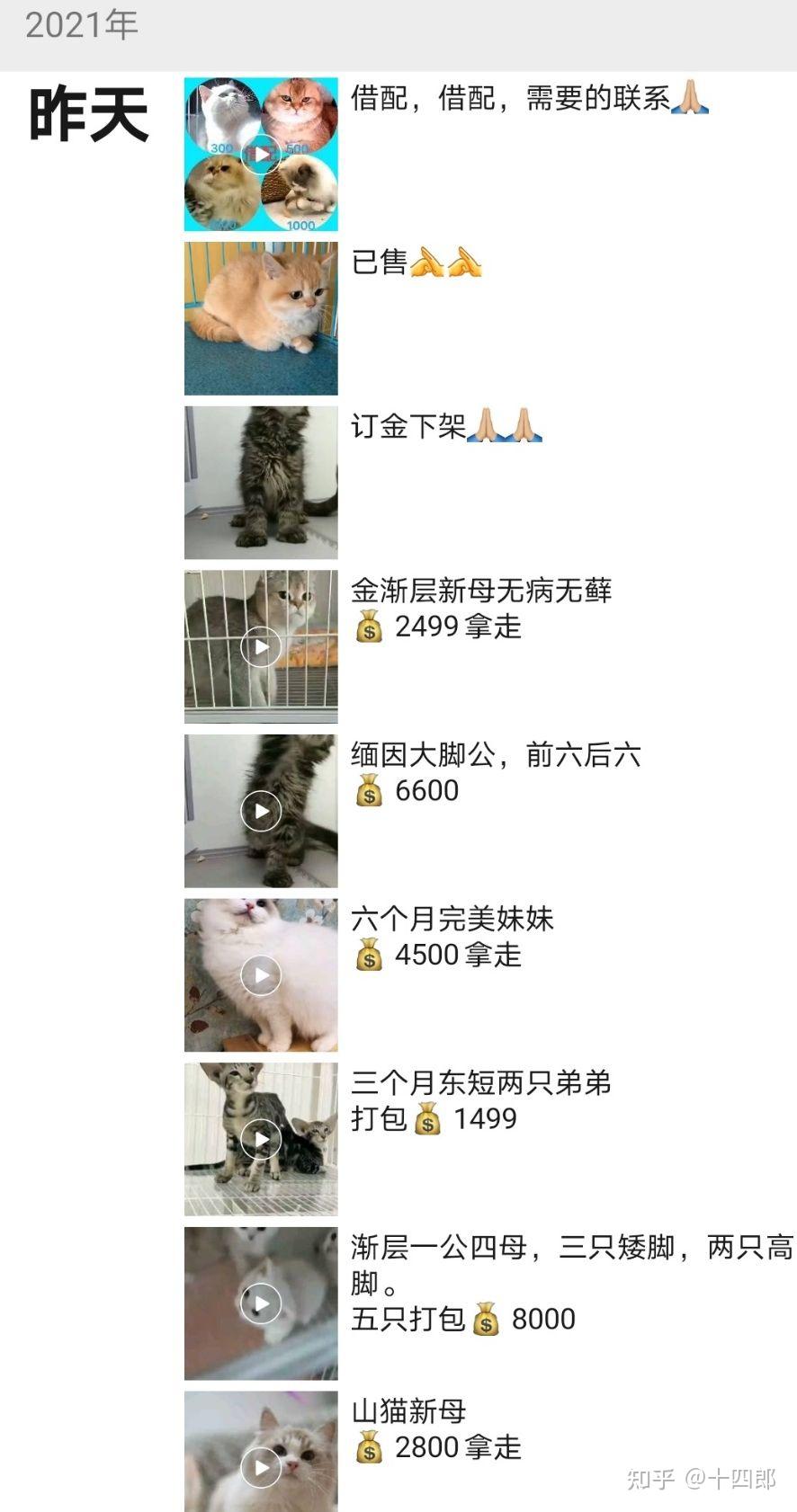 宠物用品货源
