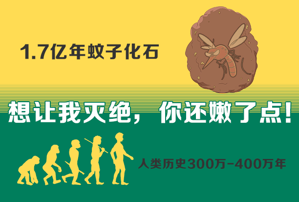 在1亿多年前的恐龙时代,就已经有了蚊子祖先存在的证据.