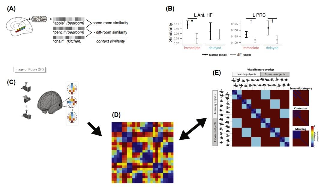 干货 | 实用指南之fMRI表征相似性分析 - 知乎