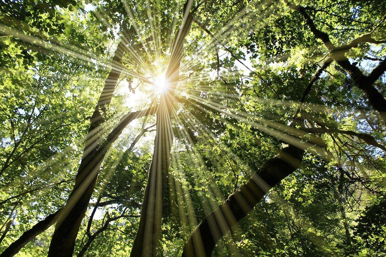 3. 专业型号解析