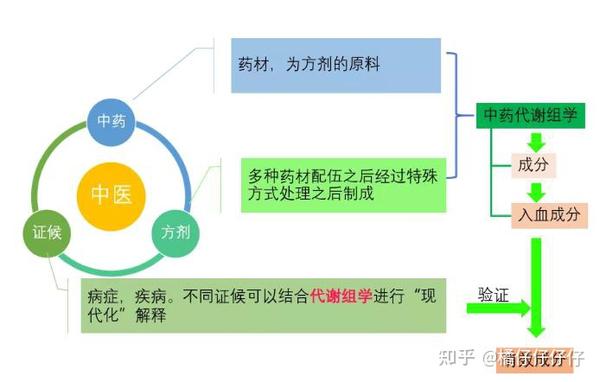 技術介紹 | 中藥非靶標代謝組學—百趣生物