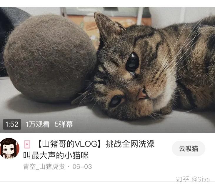 优胜劣汰适者生存是大自然规律为什么人类社会会发展出