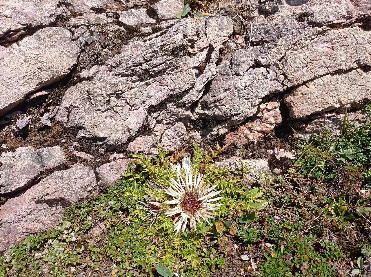 4. 基础深度标准