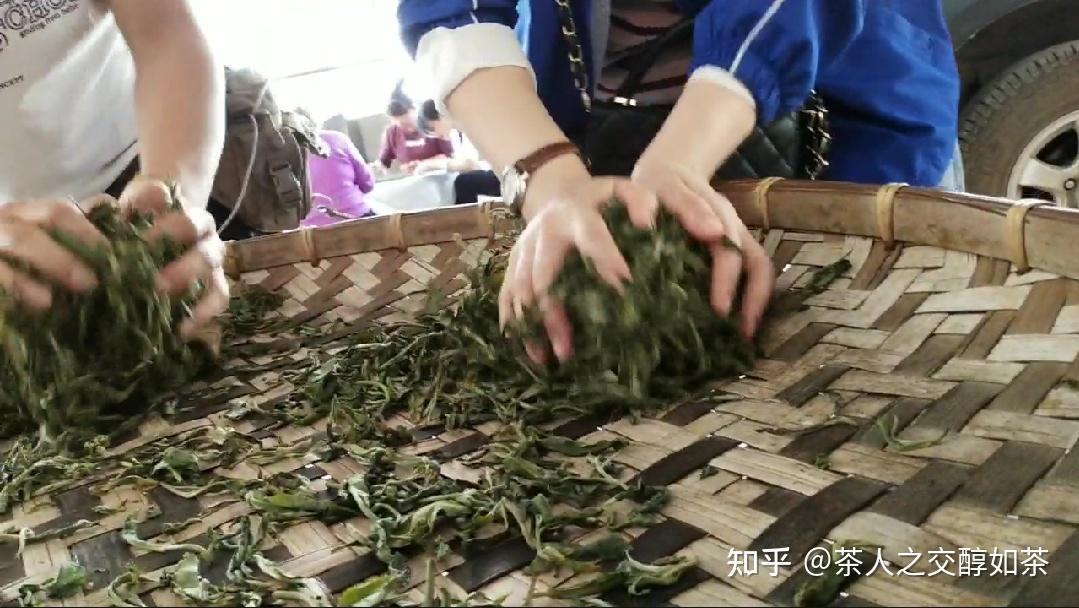 茶叶揉捻有什么作用 - 知乎