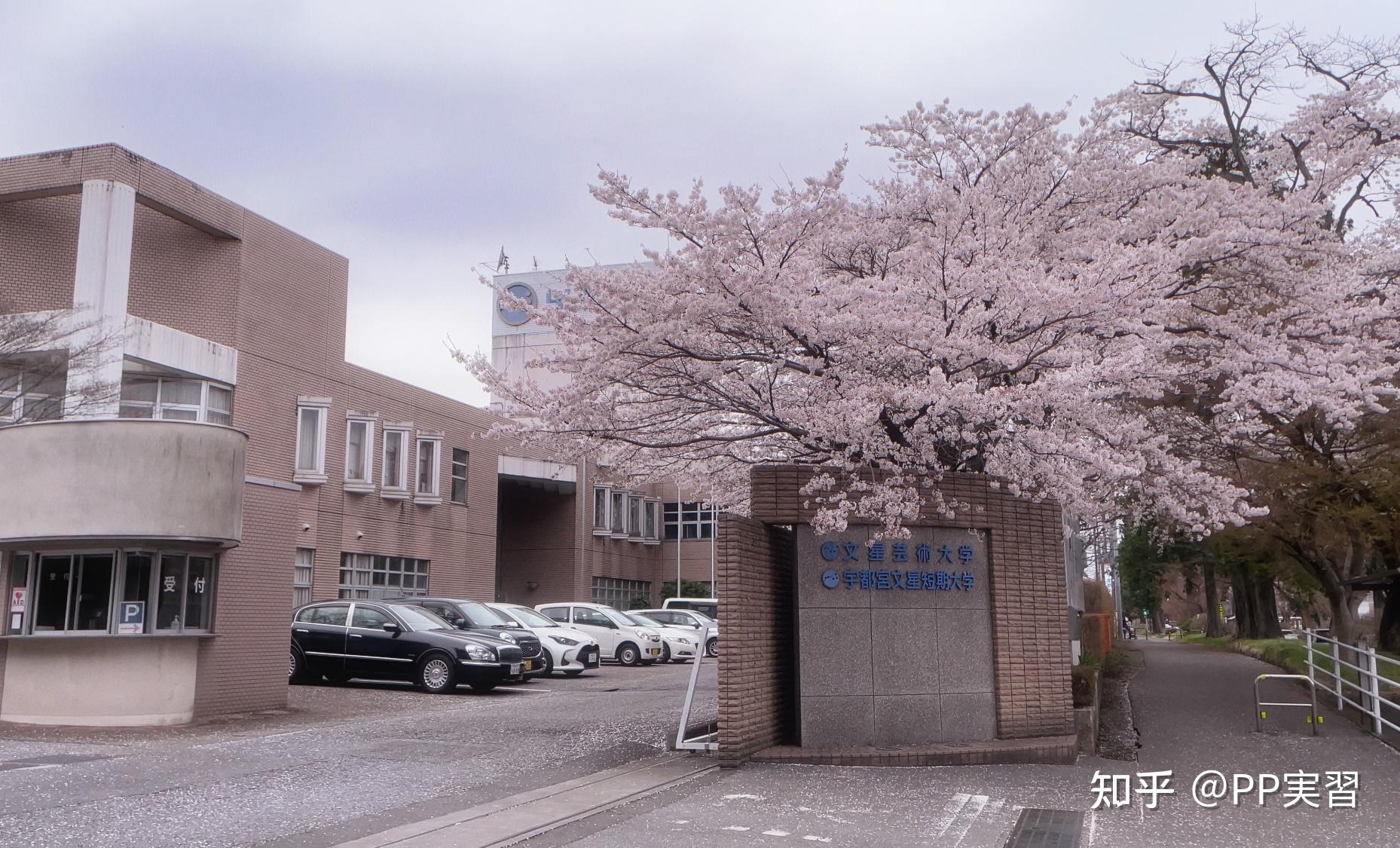 日本文星艺术大学怎么样? - 知乎