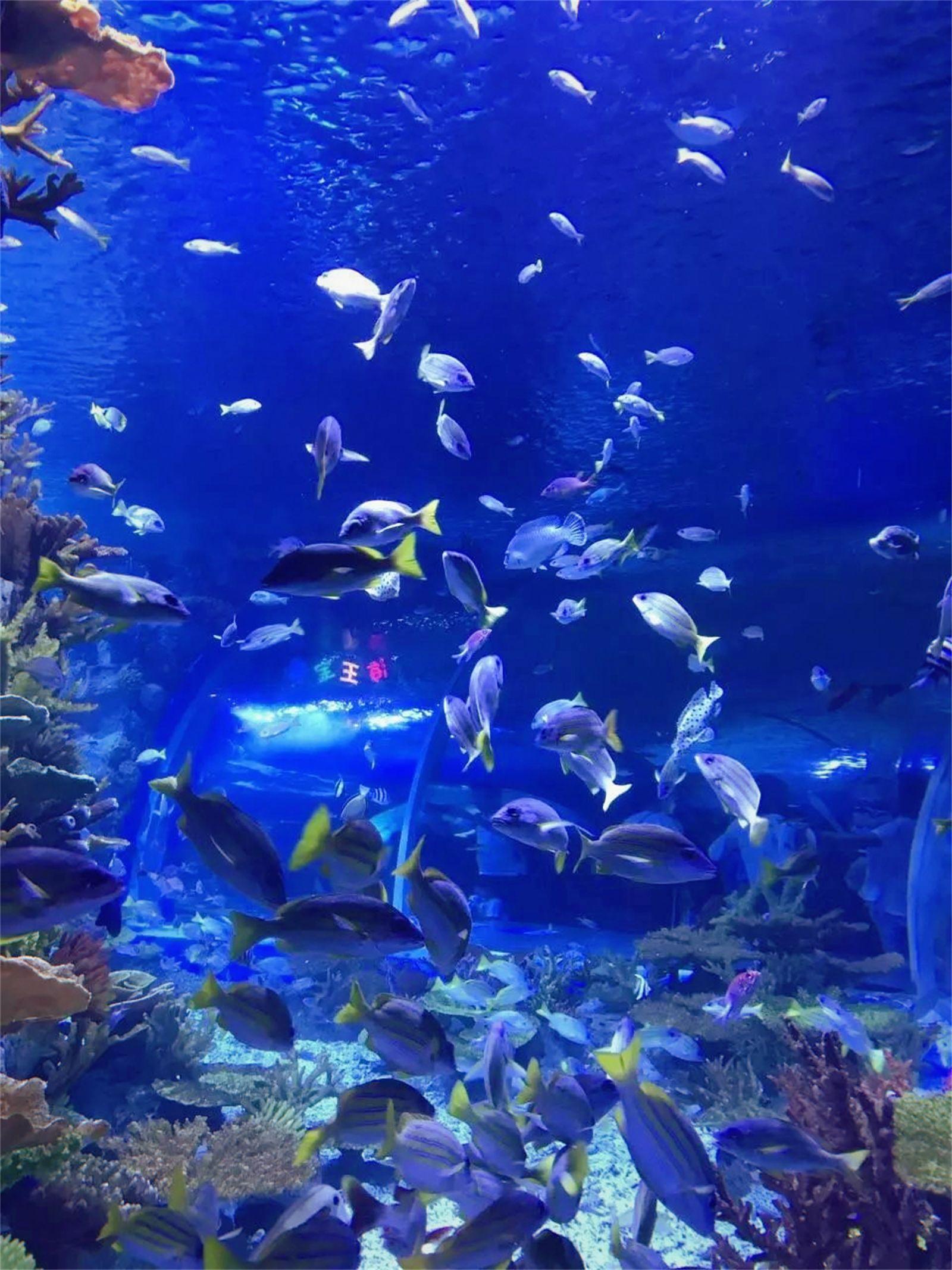 日照出行必看日照旅游自驾游看日出玩大海吃海鲜