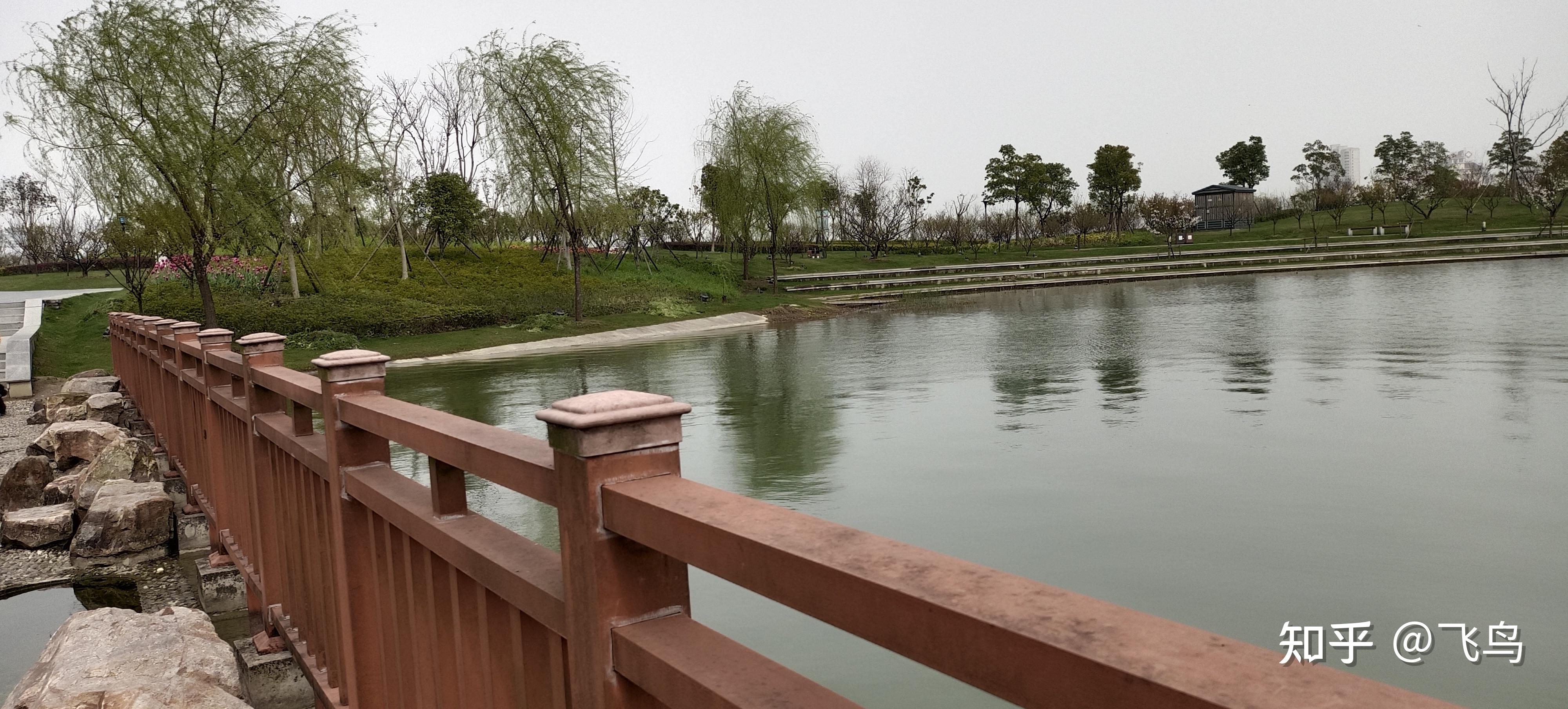 自駕遊嘉興秀湖公園