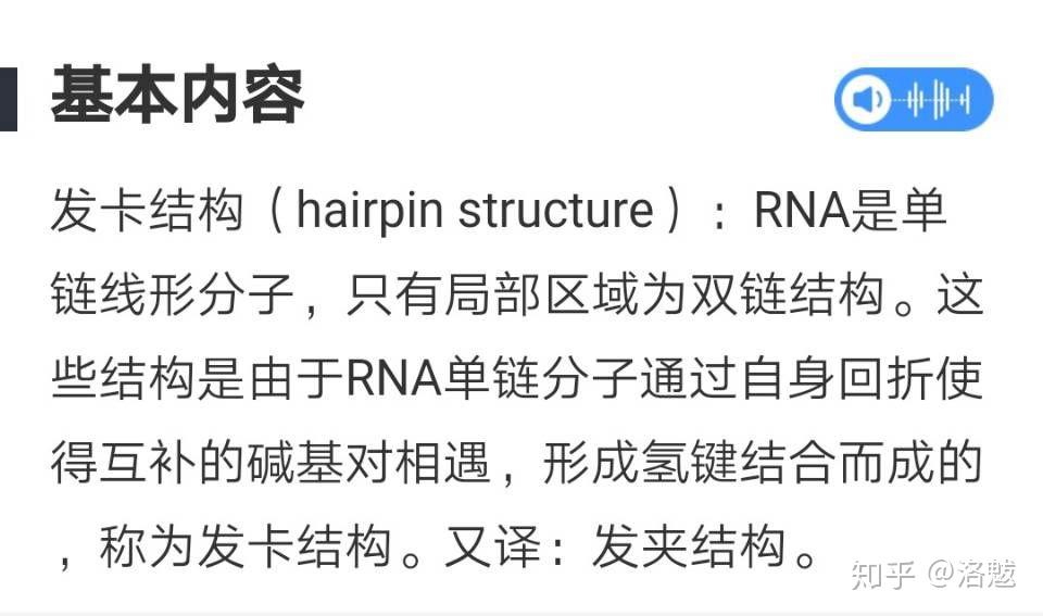 发夹结构的碱基序列图片