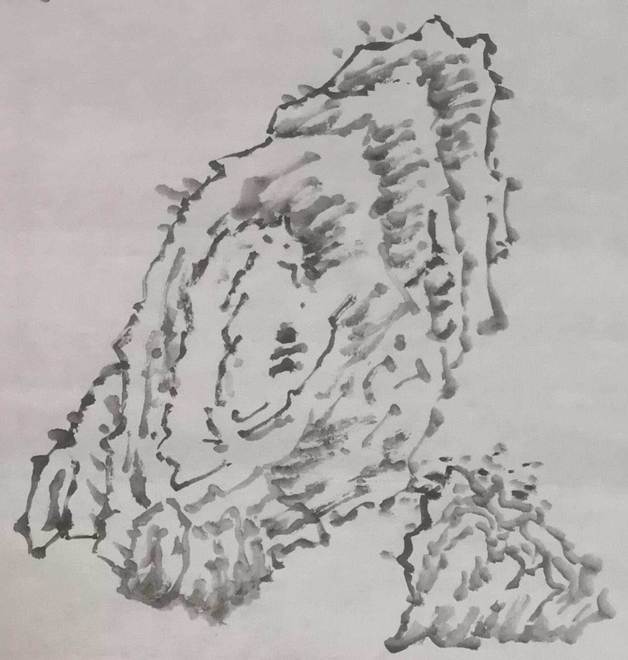 怎样学国画五石头的画法