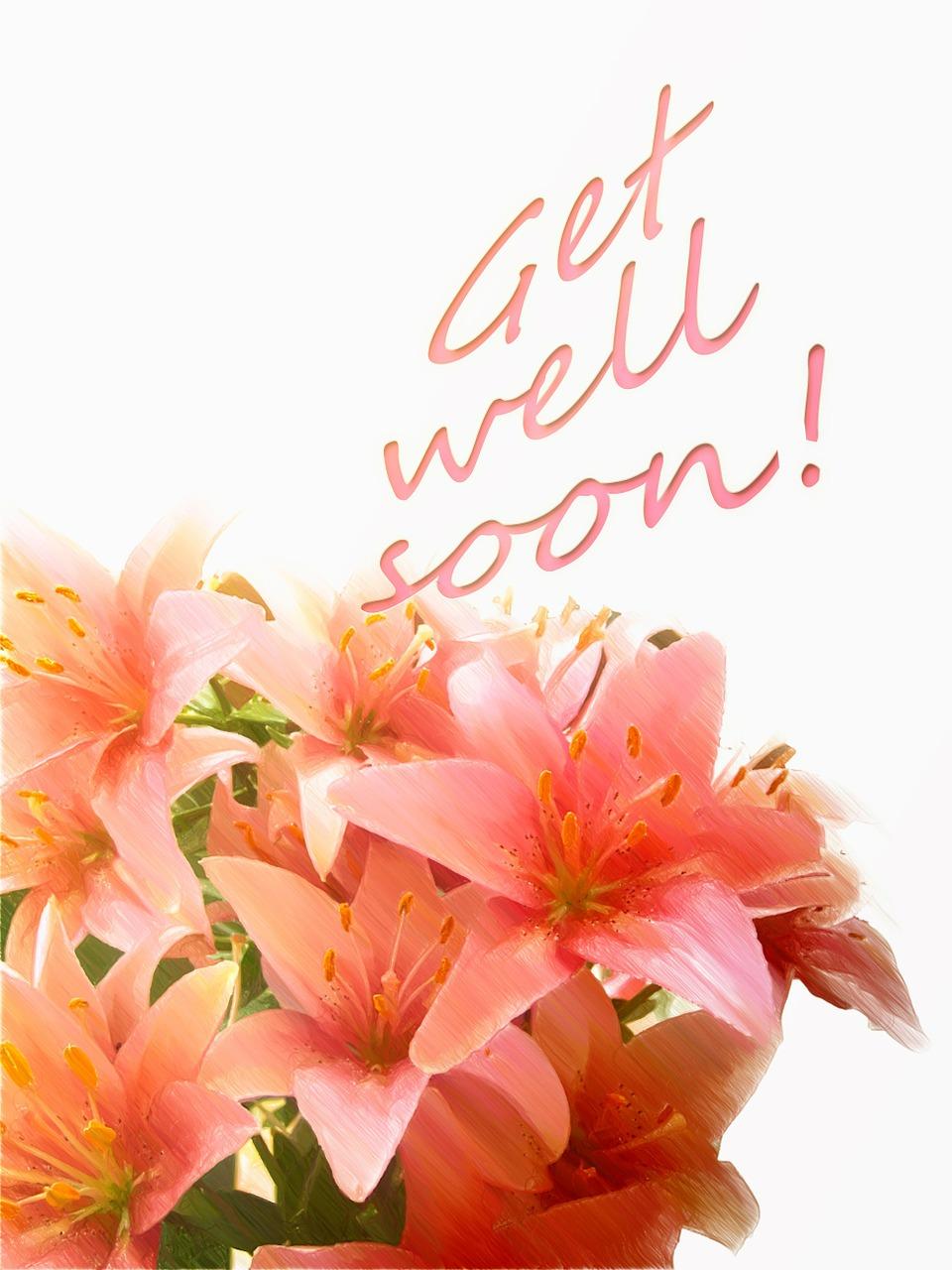 愿您节日里美丽如花