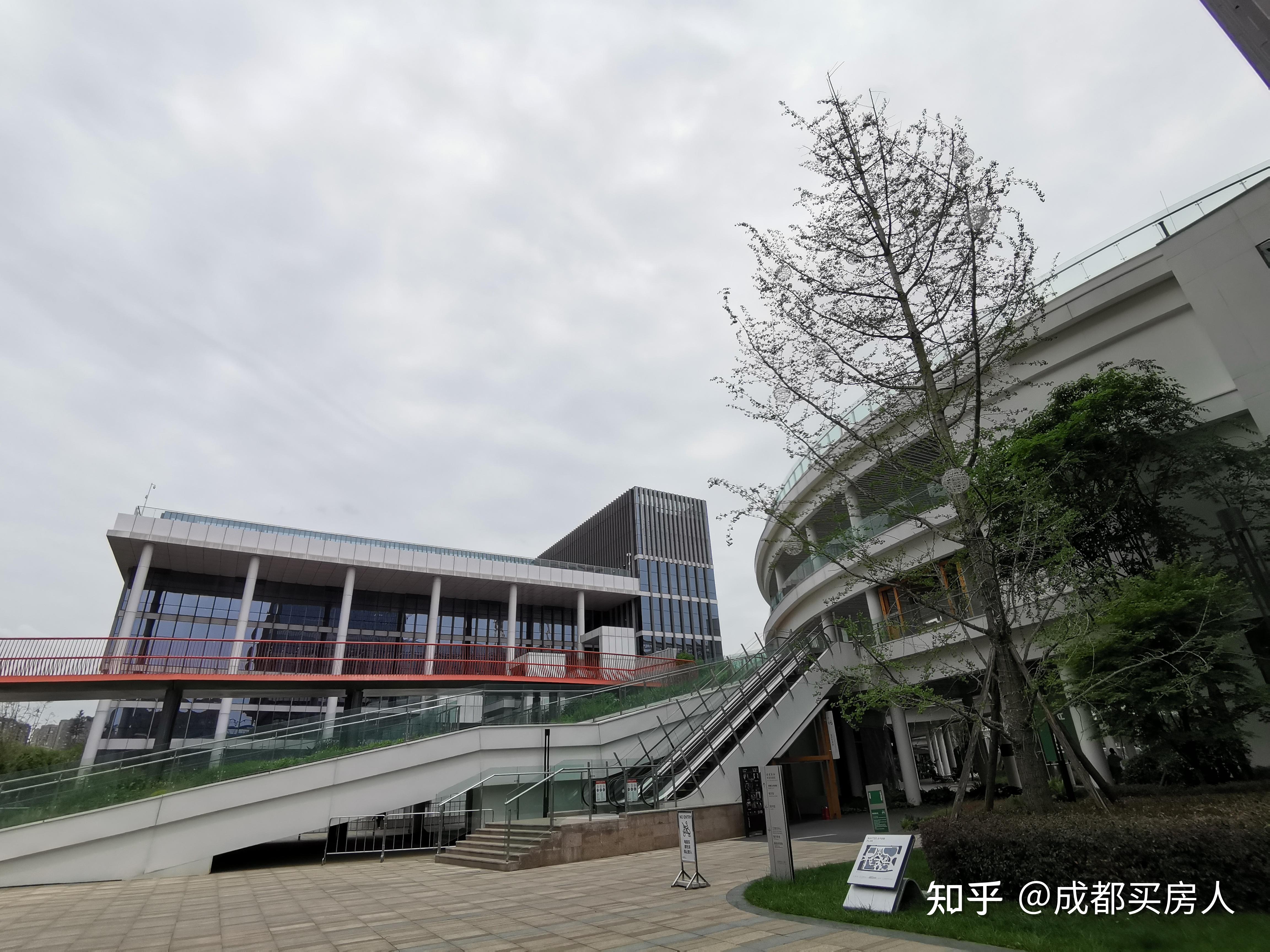 成都市留学生创业