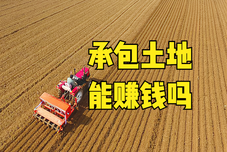 种田大户算了一笔账:租金800元,种小麦和玉米,看看靠什么赚钱 - 知乎