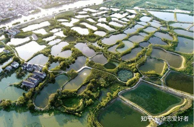 简述圩田及其优势