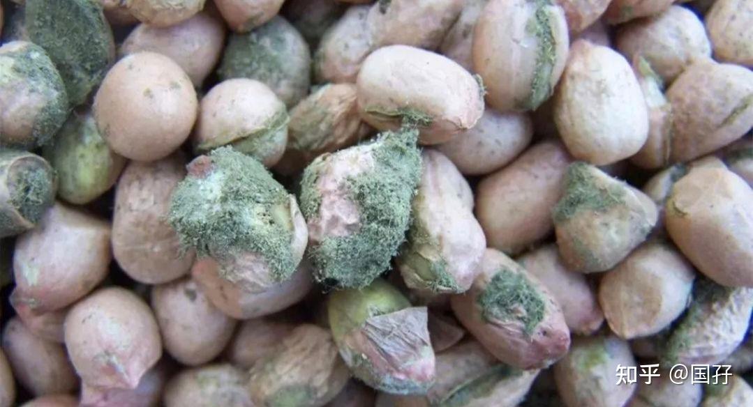 花生米发霉了怎么处理?
