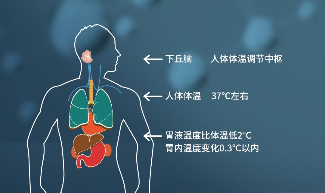 人體有一套完善的溫度調節系統,能有效控制身體的產熱和散熱過程,使得