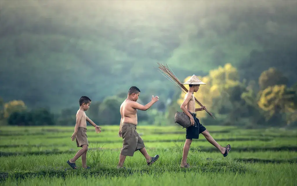 大自然——被逐渐遗忘的儿童乐园│儿童成长 - 知乎