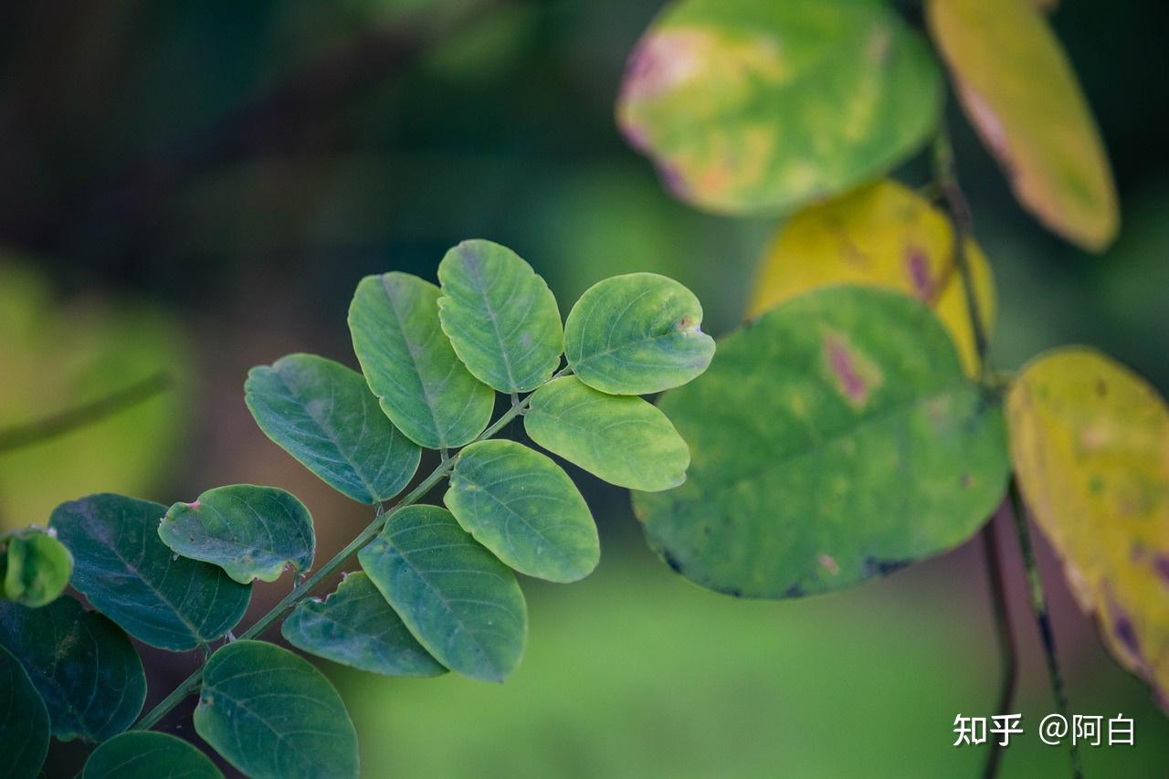 2021年了观众还有必要去电影院看电影吗