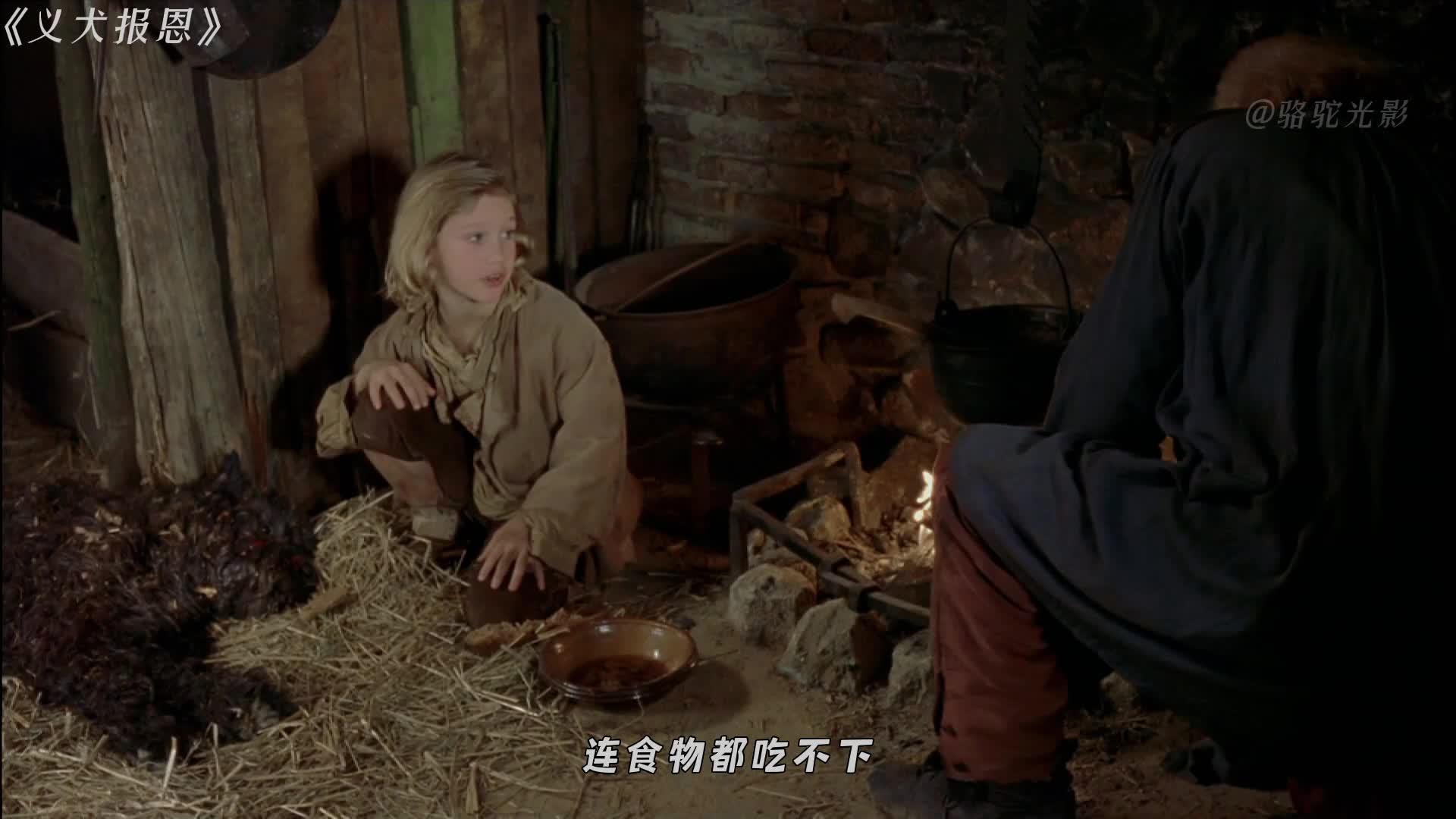 电影《义犬报恩》的看点是什么?