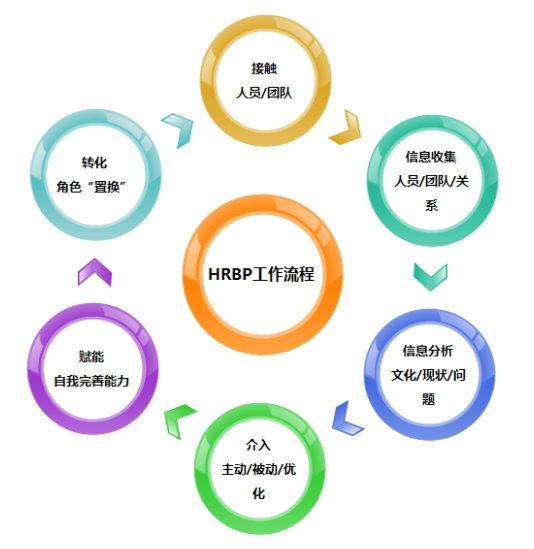 人力资源HRVP和HRBP及HRD在工作职责上有什么区别