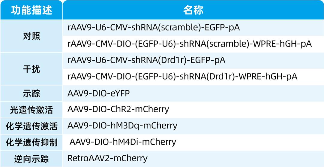 IF=13.44【客户文章】Mol Psychiatry:复旦大学肖雷团队揭示VTA D1神经元对焦虑样行为的调控作用和环路机制 - 知乎