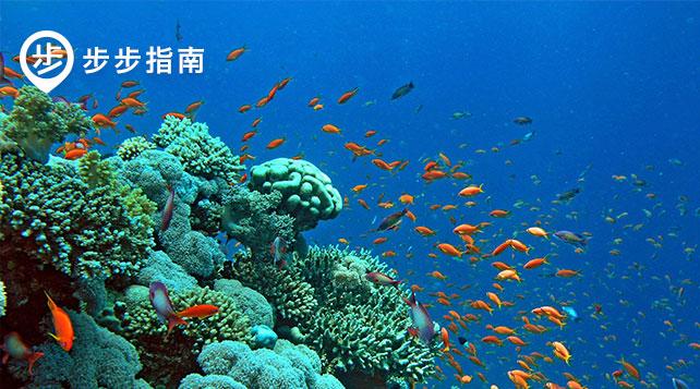 7月国外最佳旅游地 8个亲水旅行目的地 开启别样夏天 知乎