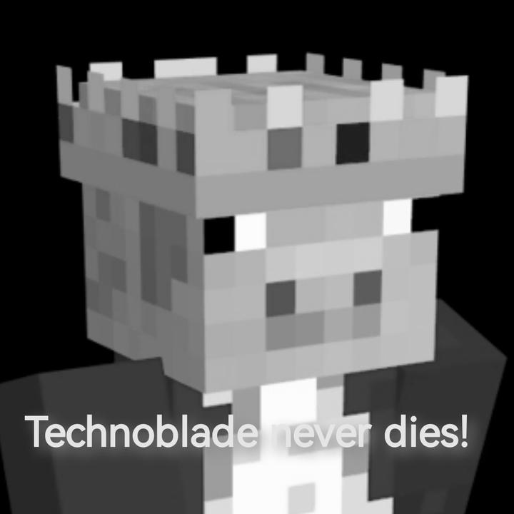 technoblade never dies!_哔哩哔哩bilibili