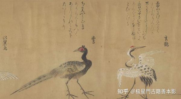 极星門古籍善本影印推荐~怪奇鸟兽图卷 - 知乎