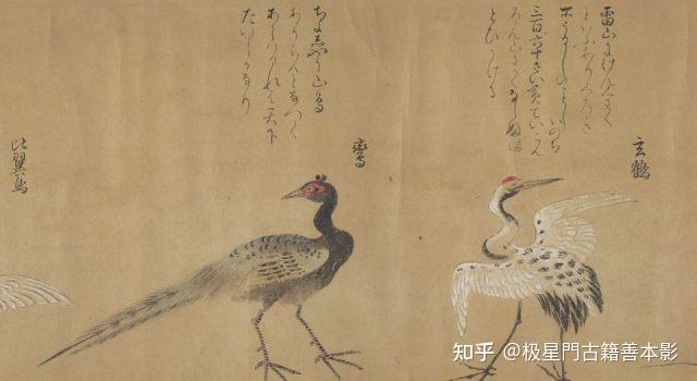 极星門古籍善本影印推荐~怪奇鸟兽图卷 - 知乎