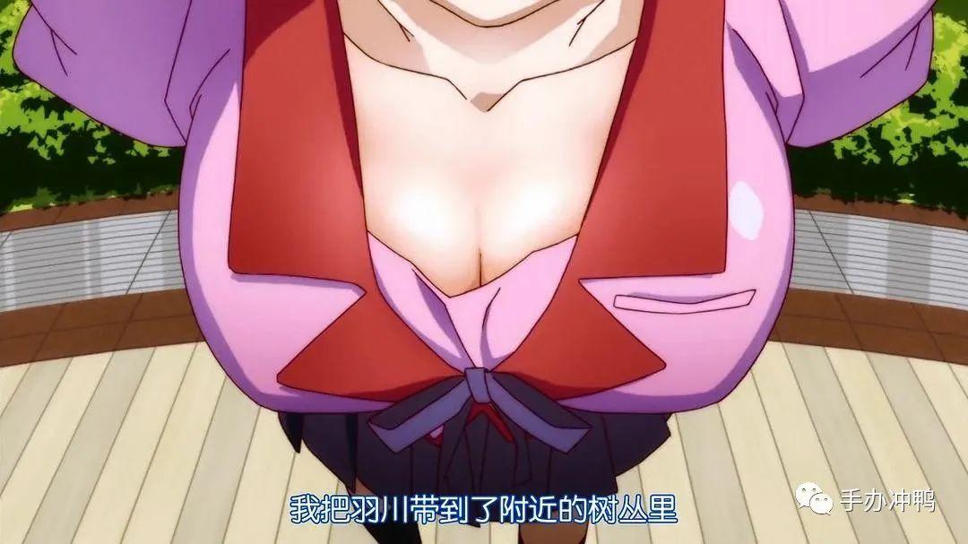 67uc《猫物语》黑羽川&羽川翼:双倍的欧派,双倍的快乐 - 知乎