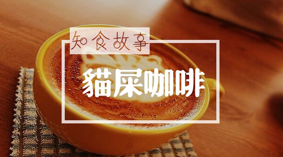 什么叫做真正的猫屎咖啡 v2-7b87f7b5c831accc6eaccbf249695c16_1440w.jpg?source=172ae18b