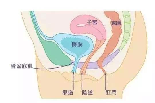 v2-7b9b2a8ee0b094a22e648bbf94a675f5_1440w.jpg?source=172ae18b