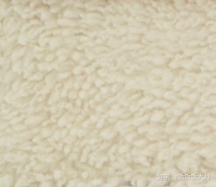 羊羔毛、羊羔绒、摇粒绒…你们是亲戚吗?| 冬装面料大科普 - 知乎