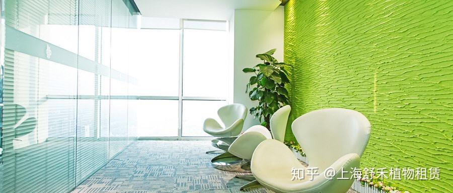 绿植租赁租摆价格标准