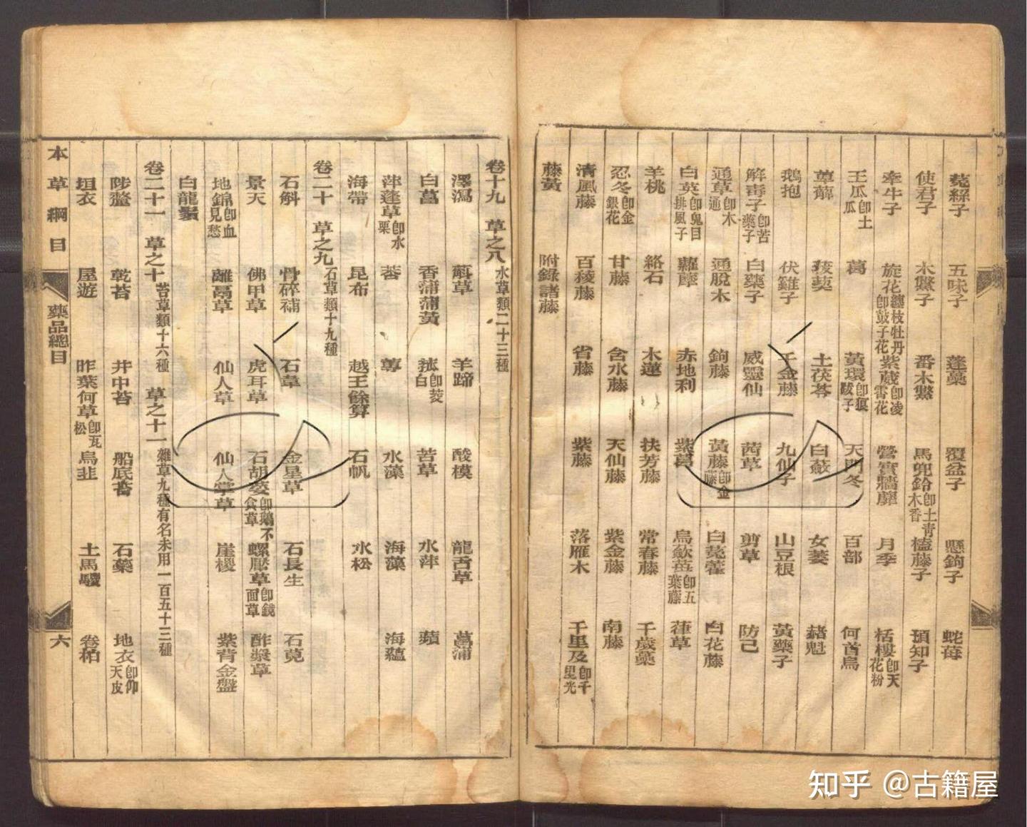 清光绪二十年石印本本草纲目- 知乎