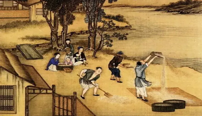 古代大米脱壳图片