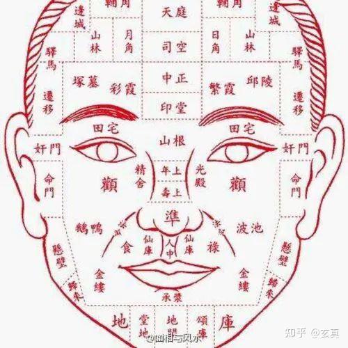 脸型算命图片