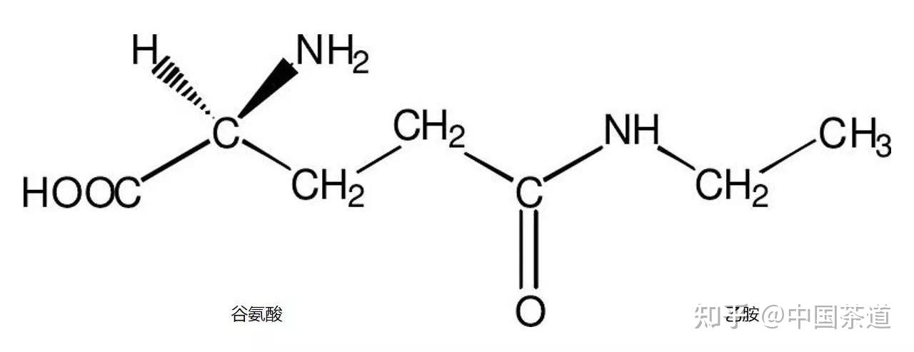 茶氨酸的花样儿多到你想不到73 