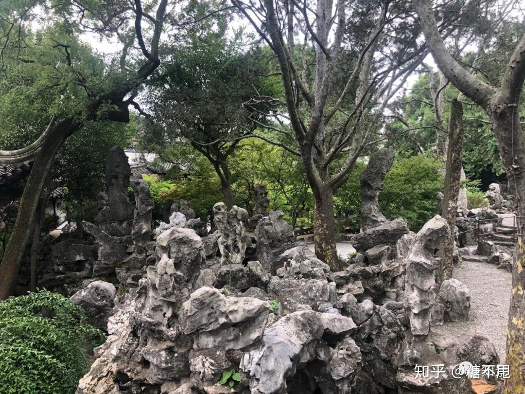狮子林的假山是中国园林大规模假山的仅存者,迂回曲折的特点深受小