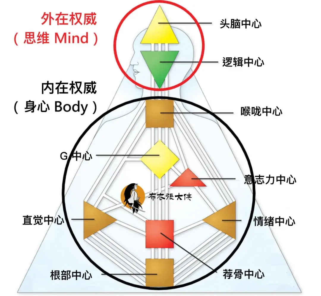 人类图内在权威 - 知乎