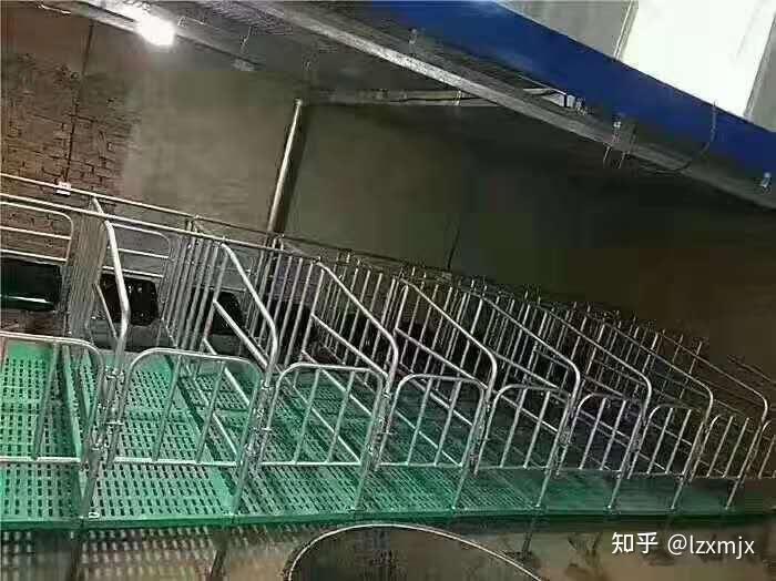 落地连体单体母猪定位栏母猪限位栏