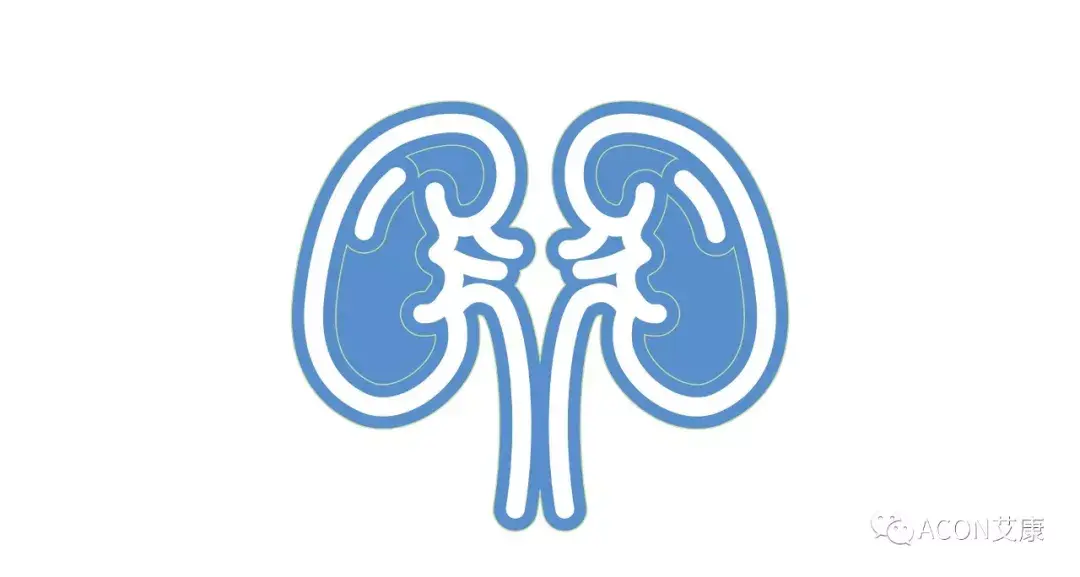 你可关心过你的肾这篇来肾的自白书你该好好看看